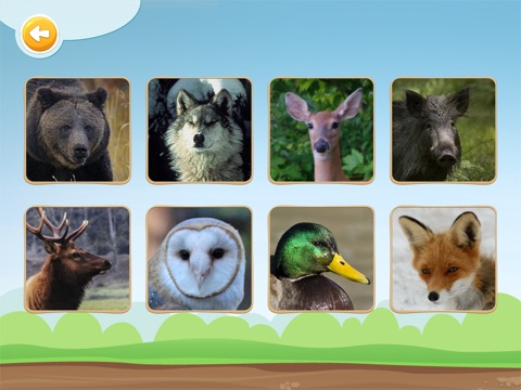 Moooo - Animals Sounds screenshot 2