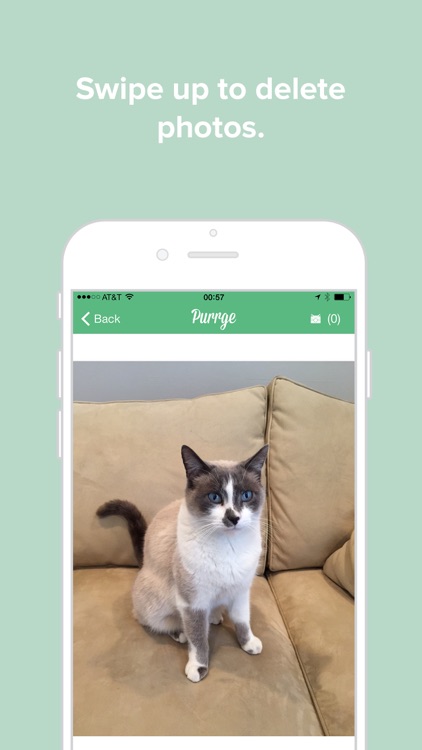 Purrge