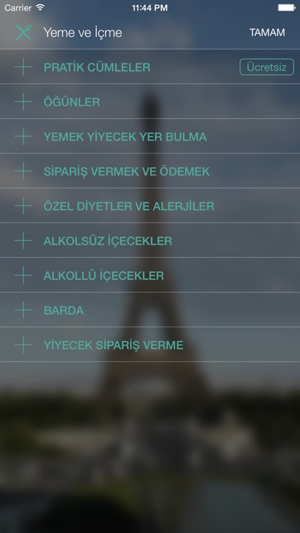 Fransızca Konuşma Kılavuzu - Sesli, telaffuza yardımcı turistik cümle kitapçığı ve Türkçe bilenler için yabancı dil öğrenme rehberi screenshot-3