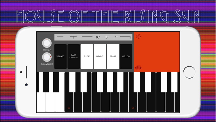 Combo Organ Model V