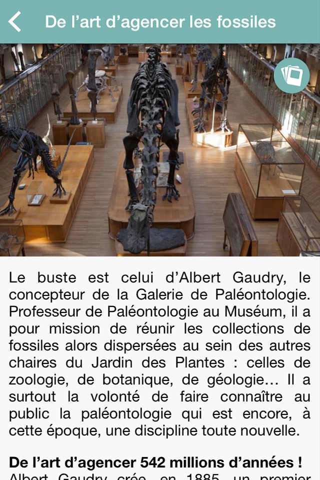La Galerie de Paléontologie du Muséum national d’Histoire naturelle, Paris screenshot 2
