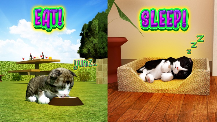 Cat Frenzy 3D screenshot-4