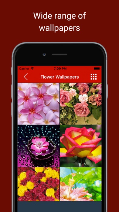 How to cancel & delete Love & Romantic Wallpapers : Backgrounds and pictures of valentine heart, flowers and polka dots as home & lock screen images from iphone & ipad 3
