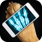 Top 40 Entertainment Apps Like Simulator X-Ray Dog - Best Alternatives