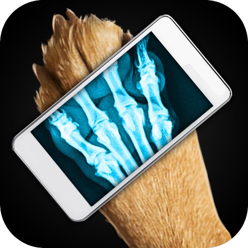 Simulator X-Ray Dog Icon