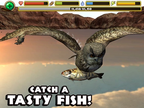 Owl Simulator для iPad