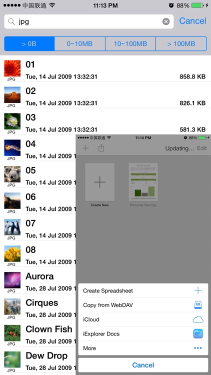 iExplorer screenshot-3