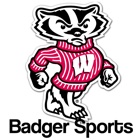 Top 12 Sports Apps Like Badger Sports - Best Alternatives