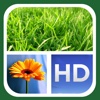Picture Frames FREE - #1 Photo Collage Maker