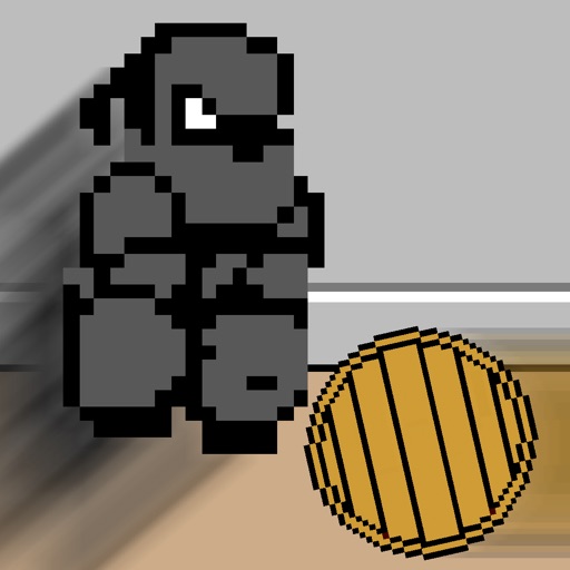 Barrel Ninja