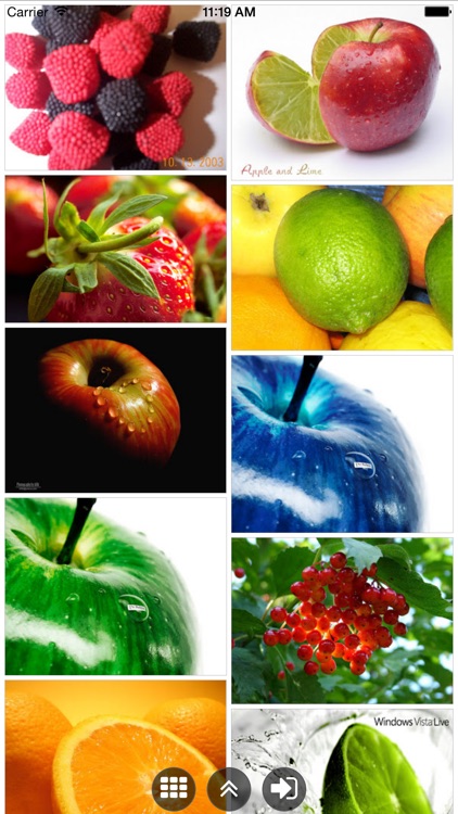 Explorer for Picasa Photo Albums Pro