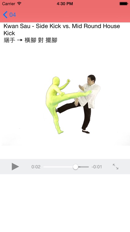 Wing Chun Kicking Dummy Form screenshot-3