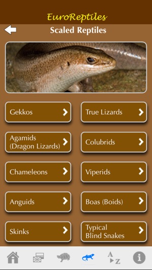 EuroReptiles(圖2)-速報App