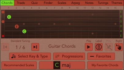 Guitarist's Reference Screenshot 1