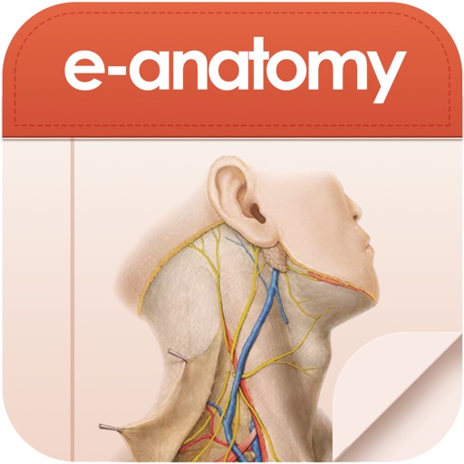 E-Anatomy Icon