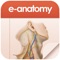 E-Anatomy