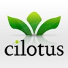 cilotus