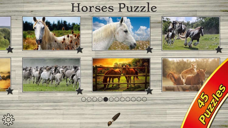 Mighty Horses - Real Horse Picture Puzzle Games for kids screenshot-4