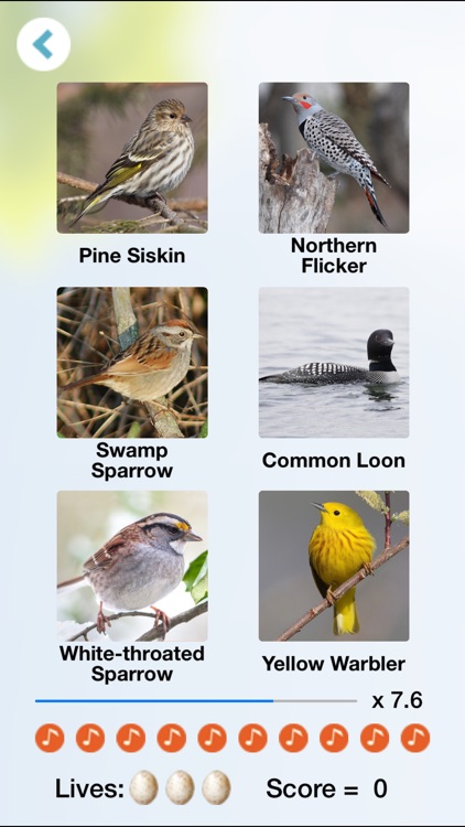 Chirp! Bird Songs Canada +