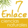 Vector Z | Enlace Ciencias Naturales 7