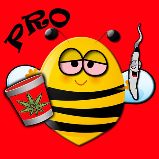 Potzy Pro Dice Game icon