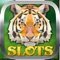 AAAbout Tiger Casino