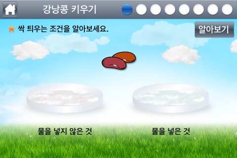 강낭콩 키우기 screenshot 2