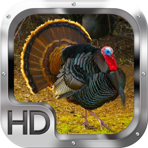 Turkey Hunting Sniper Shooter Icon