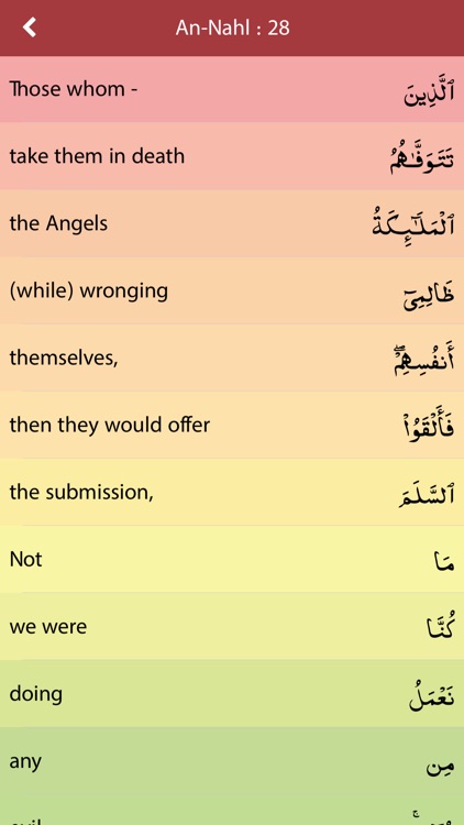 Quran & English Translation ( Text & Audio ) screenshot-4