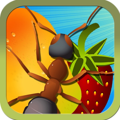Smash Ants - Fun Counting Game For Kids