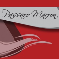 Pássaro Marron