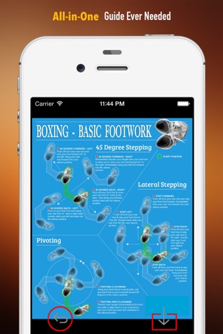 Boxing 101: Quick Learning Reference with Video Lessons and Glossary screenshot 2