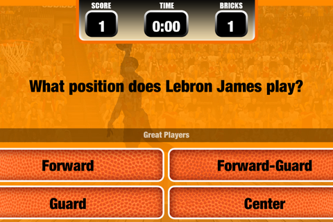 Pro Basketball Playoff Finals screenshot 3