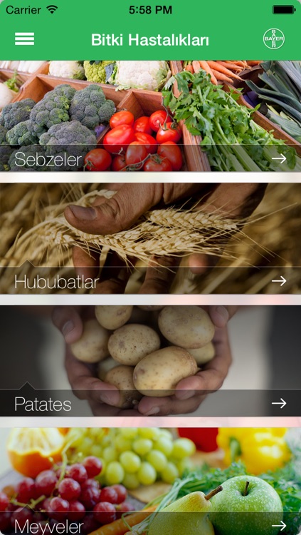 Bitki Hastalıkları