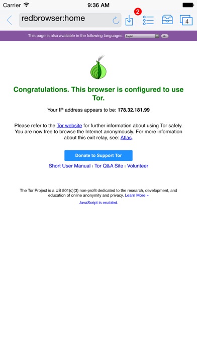 Red Onion - Tor-powered web browser for anonymous browsing ...