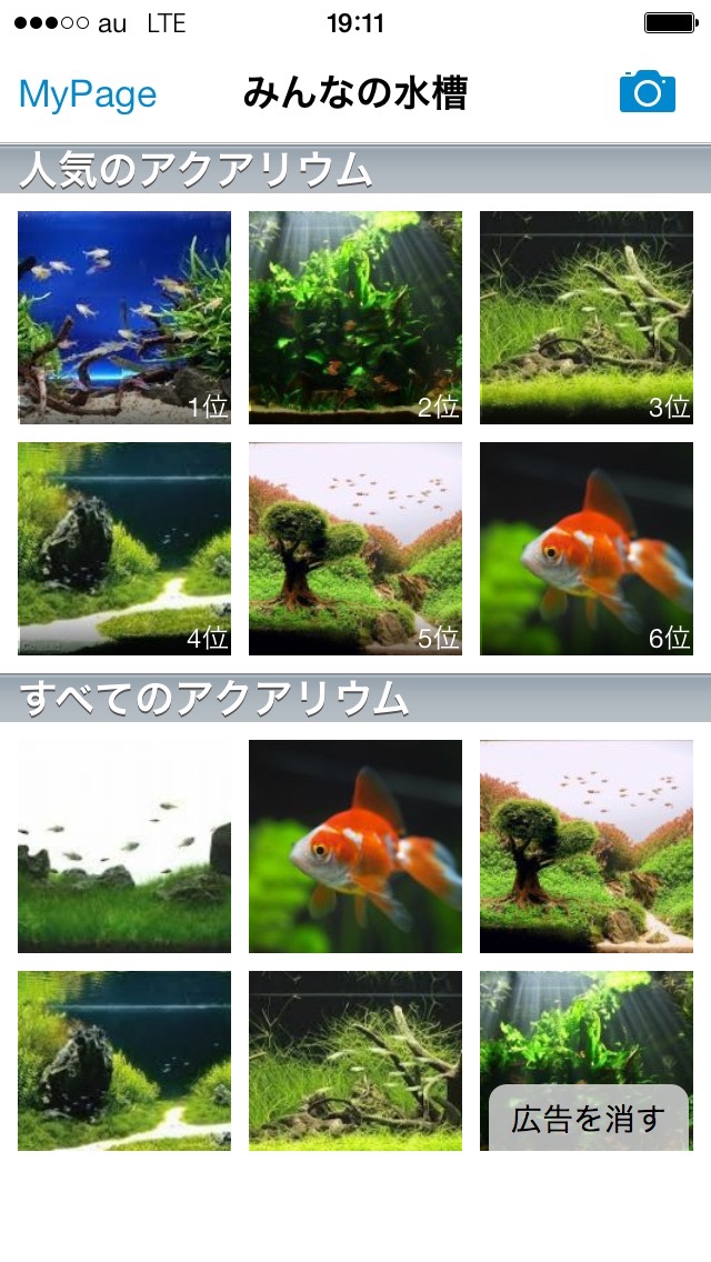 みんなの水槽 ポケットアクアリウム By Angles News Media Inc Ios 日本 Searchman アプリマーケットデータ