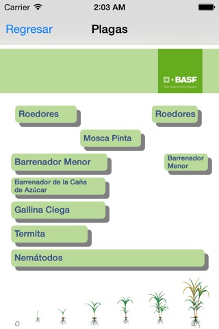 BASF México - Cultivo de la Caña de Azúcar screenshot 2