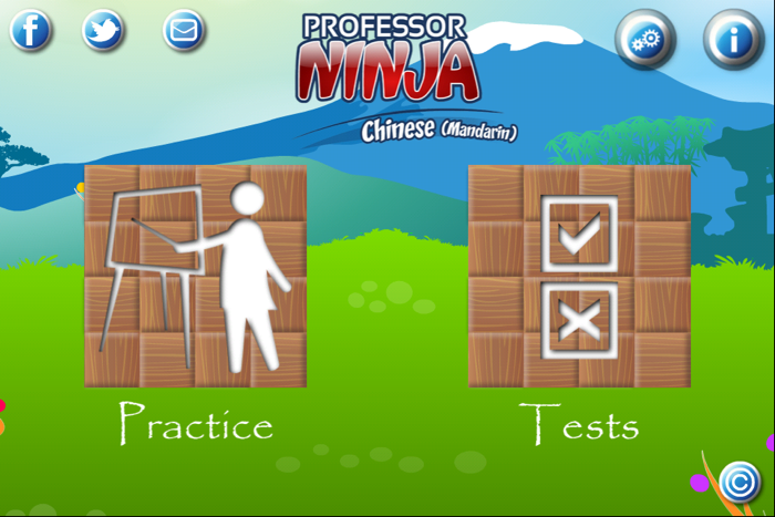 Professor Ninja Chinese