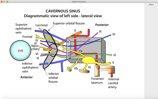 Instant Anatomy(圖1)-速報App