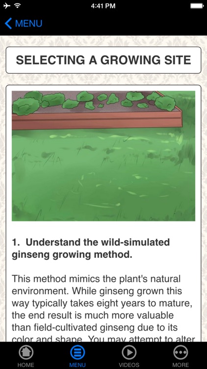 How To Grow Ginseng - Beginner's Guide
