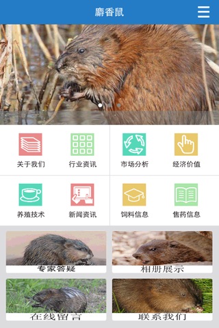 麝香鼠 screenshot 2