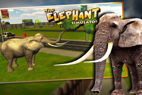 Wild Elephant Simulator 3D - Real Rampage of Angry Animal to Run & Destroy Everything screenshot 4