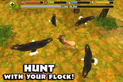 Eagle Simulator screenshot 3