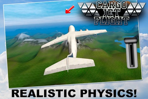 Cargo Jet: Flight Simulator 3D Free screenshot 4