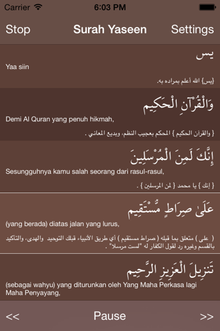 Surah Yaseen - يسٓ screenshot 2