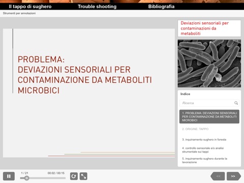 Il Sughero screenshot 3