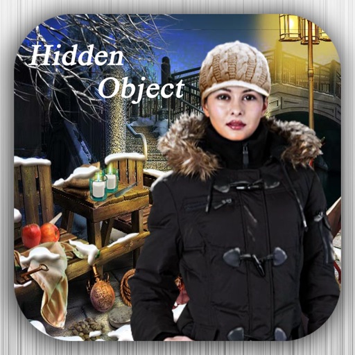 Hidden Objects Winter Icon
