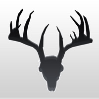 Deer Movement PC 용