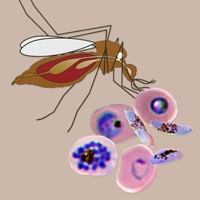 Central American Malaria Vectors PC 용