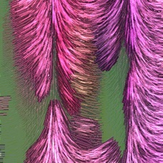 Activities of Trippin